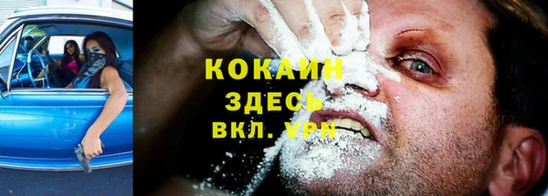 спиды Алзамай