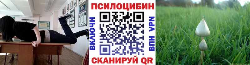 Псилоцибиновые грибы мухоморы  Мыски 
